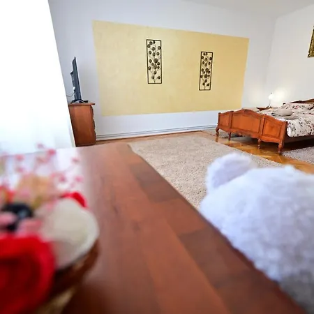 Apartment Flh - Natalia 2 - Turnisor *