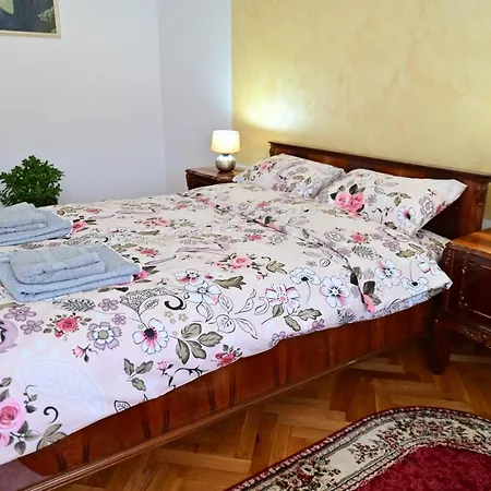 Apartment Flh - Natalia 2 - Turnisor *
