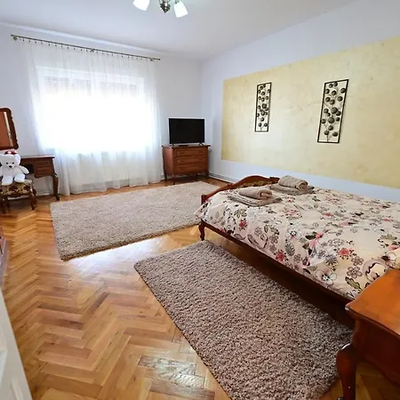 Flh - Natalia 2 - Turnisor Sibiu